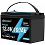 LiFePO4 12V 100Ah Акумулятор Ameisentech, BMS, 1280Wh