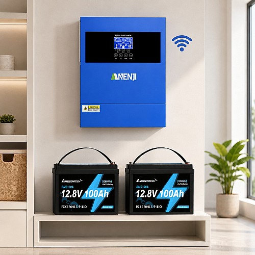 4,2 кВт LiFePO4 Комплект резервного живлення Інвертор Anenji WiFi + 2 акумулятора 12V 100Ah Ameisentech для квартири, будинку