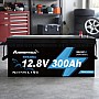 LiFePO4 12V 300Ah Акумулятор Ameisentech, BMS, 3840Wh