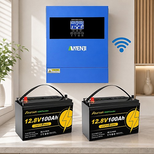 4.2 кВт LiFePO4 Комплект резервного живлення Інвертор Anenji WiFi 24 В + 2 акумулятора 12V 100Ah Foursun