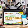 LiFePO4 12V/100Ah Акумулятор FLYFOREE для резервного живлення будинку, квартири, Вбудована BMS, Bluetooth APP