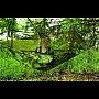Гамак двомісний + москітна сітка 150 кг 260x140 см Gardlov (Польща)