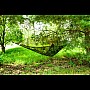 Гамак двомісний + москітна сітка 150 кг 260x140 см Gardlov (Польща)