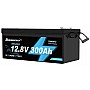 LiFePO4 12V 300Ah Акумулятор Ameisentech, BMS, 3840Wh