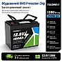 LiFePO4 12V 100Ah Акумулятор Yulongne 1280Wh, 100A, BMS, з ручками для транспортування