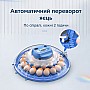 Інкубатор на 80 яєць автоматичний 220/12В з переворотом та цифровим терморегулятором Vertis