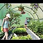 Теплиця садова, парник Holla Garden Польща 6м2 (300х200х200)