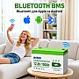 LiFePO4 12V/100Ah Акумулятор Anenji з Bluetooth для резервного живлення будинку, квартири з BMS