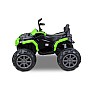 Дитячий електроквадроцикл Quad Just Drive QUAD Q2 Зелений