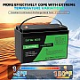 LiFePO4 12V 100Ah Акумулятор Datouboss, BMS, 1280Wh