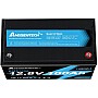 LiFePO4 12V 100Ah Акумулятор Ameisentech, BMS, 1280Wh